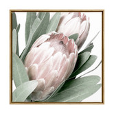 A La Mode Studio Protea II Framed Canvas Wall Art
