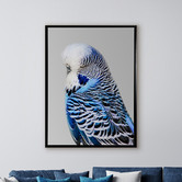 A La Mode Studio Blue Budgie Framed Canvas Wall Art