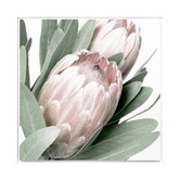 A La Mode Studio Protea II Framed Canvas Wall Art
