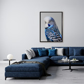 A La Mode Studio Blue Budgie Framed Canvas Wall Art