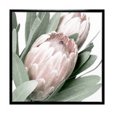 A La Mode Studio Protea II Framed Canvas Wall Art