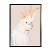 A La Mode Studio Cockatoo Tango Framed Canvas Wall Art