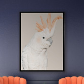 A La Mode Studio Cockatoo Tango Framed Canvas Wall Art