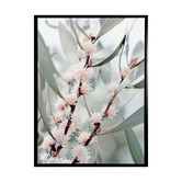 A La Mode Studio Hakea Flowers Framed Canvas Wall Art
