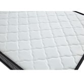 Mikasa Furniture Mykel Single Folding Bed with Mattress