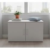 Mikasa Furniture Gabhan 2 Door Storage Cabinet