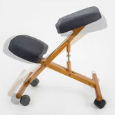 Letitia Lane Godrick Adjustable Office Kneeling Chair