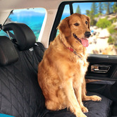 Letitia Lane Matte Black Water-Resistant Pet Car Seat Cover