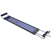 Letitia Lane Blue White Dynamic Power 70cm 2835 LED Aquarium Light