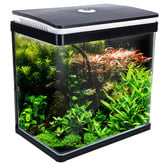 Letitia Lane Curved Glass 30L RGB LED Fish Tank with Filter Pump