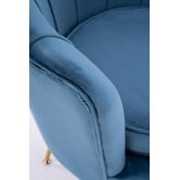 Letitia Lane Shanaya Velvet Armchair