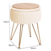Letitia Lane Kiara Velvet Storage Ottoman