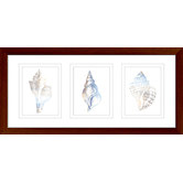Las Palma Home Natural Shells Series Watercolour Silhouette Framed Trio Print