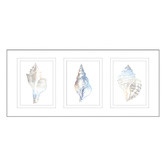 Las Palma Home Natural Shells Series Watercolour Silhouette Framed Trio Print