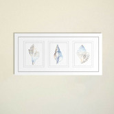 Las Palma Home Natural Shells Series Watercolour Silhouette Framed Trio Print