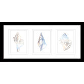 Las Palma Home Natural Shells Series Watercolour Silhouette Framed Trio Print