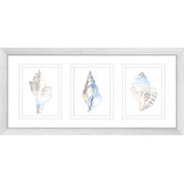 Las Palma Home Natural Shells Series Watercolour Silhouette Framed Trio Print