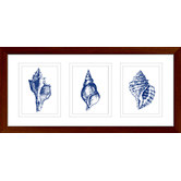 Las Palma Home Stunning Shells Series Framed Trio Print