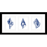 Las Palma Home Stunning Shells Series Framed Trio Print