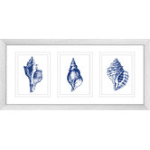 Las Palma Home Stunning Shells Series Framed Trio Print