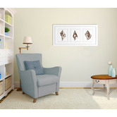 Las Palma Home Stunning Shells Series Framed Trio Print