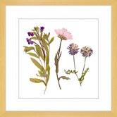 Las Palma Home Spring Wildflowers I Framed Print