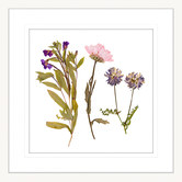 Las Palma Home Spring Wildflowers I Framed Print