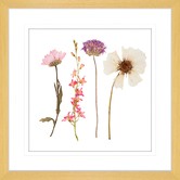 Las Palma Home Spring WIldflowers II Framed Print