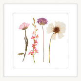 Las Palma Home Spring WIldflowers II Framed Print