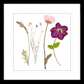 Las Palma Home Spring WIldflowers III Framed Print
