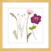 Las Palma Home Spring WIldflowers III Framed Print