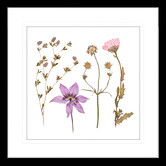 Las Palma Home Spring WIldflowers IV Framed Print