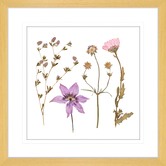 Las Palma Home Spring WIldflowers IV Framed Print