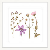 Las Palma Home Spring WIldflowers IV Framed Print