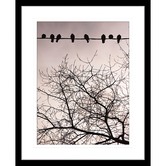 Las Palma Home Swallows Song II Framed Print