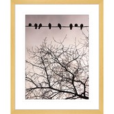 Las Palma Home Swallows Song II Framed Print