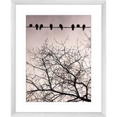 Las Palma Home Swallows Song II Framed Print
