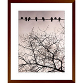 Las Palma Home Swallows Song II Framed Print