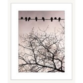 Las Palma Home Swallows Song II Framed Print