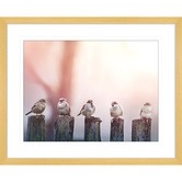 Las Palma Home Swallows Song III Framed Print