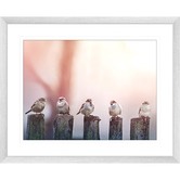 Las Palma Home Swallows Song III Framed Print