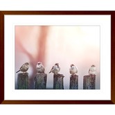 Las Palma Home Swallows Song III Framed Print