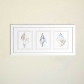Las Palma Home Natural Shells Series Watercolour Silhouette Framed Trio Print