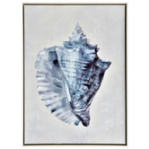 Sage Lane Horned Shell Painted Framed Canvas Wall Art