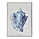 Sage Lane Horned Shell Painted Framed Canvas Wall Art