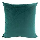 Sage Lane Aria Velvet Cushion