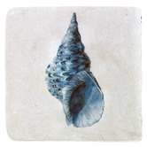Sage Lane 4 Piece Shell Coaster Set