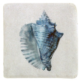 Sage Lane 4 Piece Shell Coaster Set