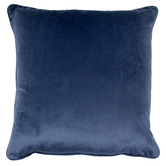 Sage Lane Galen Velvet Cushion