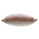 Sage Lane Galen Velvet Cushion